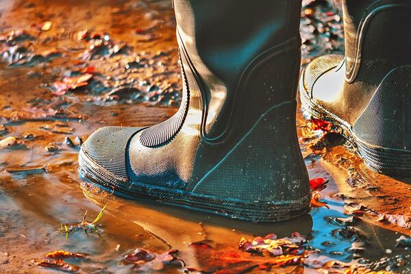 Bild vergr&ouml;&szlig;ern: gummistiefel