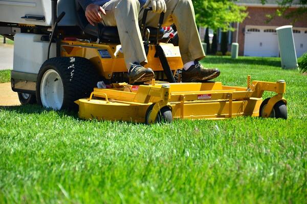 Bild vergrößern: lawncare