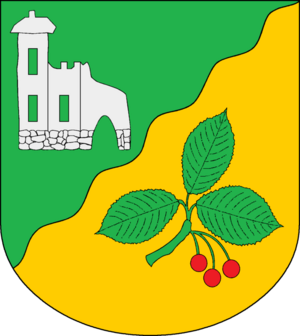 Bild vergrößern: Kasseburg_Wappen