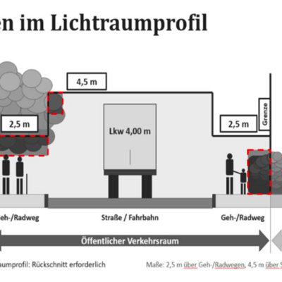 Pflanzen im Lichtraumprofil